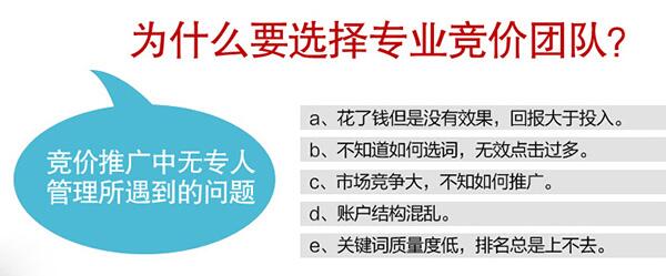 為什么要選擇專業(yè)競價(jià)團(tuán)隊(duì)?