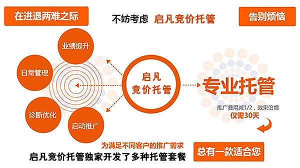 啟凡競價(jià)托管